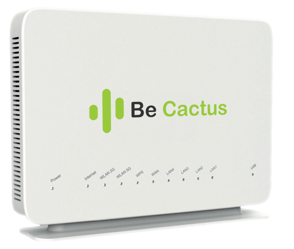 //www.becactus.be/wp-content/uploads/2021/03/CactusBox.png